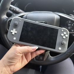 Nintendo Switch Light 