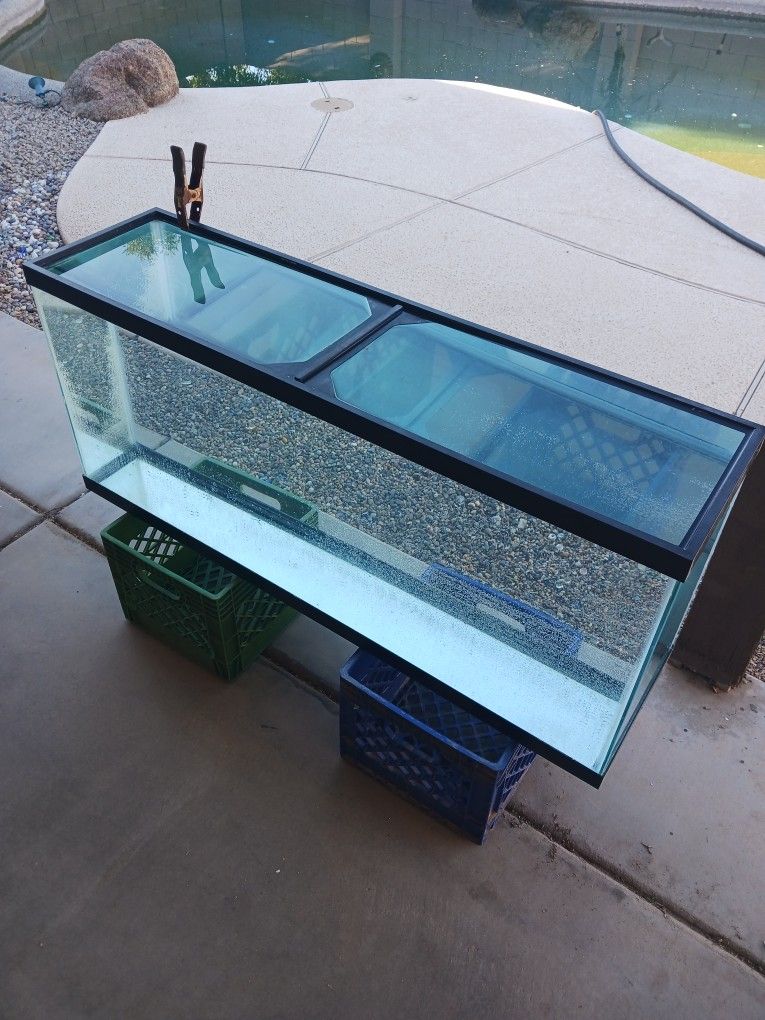 Fish Tank Goodies! for Sale in Queen Creek, AZ OfferUp