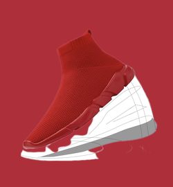 Designer Shoe