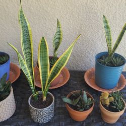 POTS AND PLANTS FROM $5,$7,$10