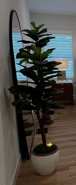 Tree 🌴