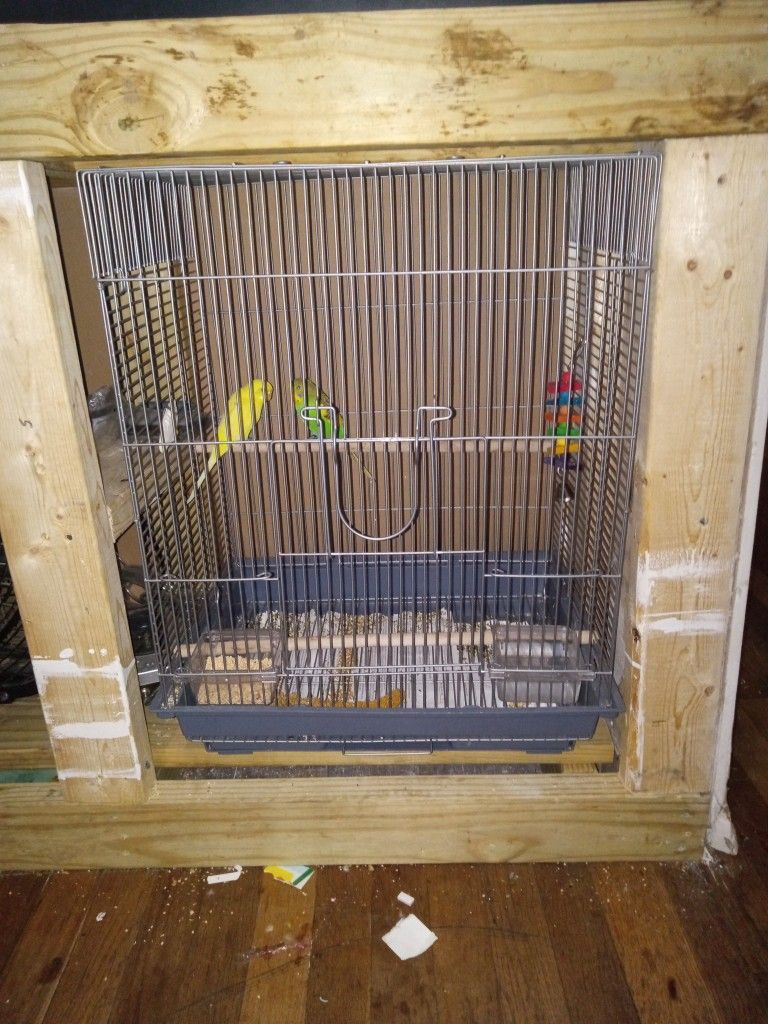 Bird Cage