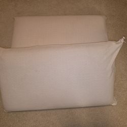 Queen Foam Pillows 19x30