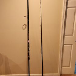 Penn Rod 12'