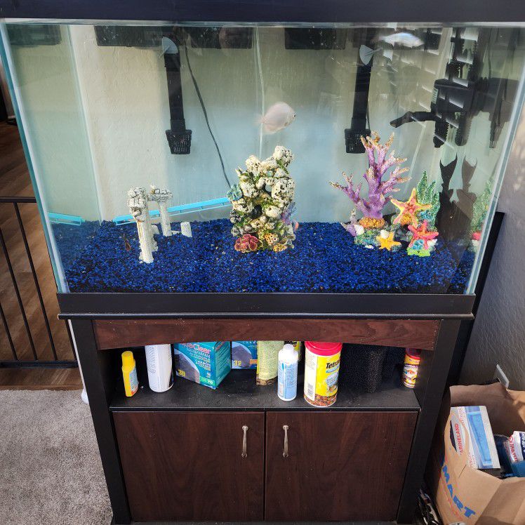 55 Gallon Aquarium Fish Tank