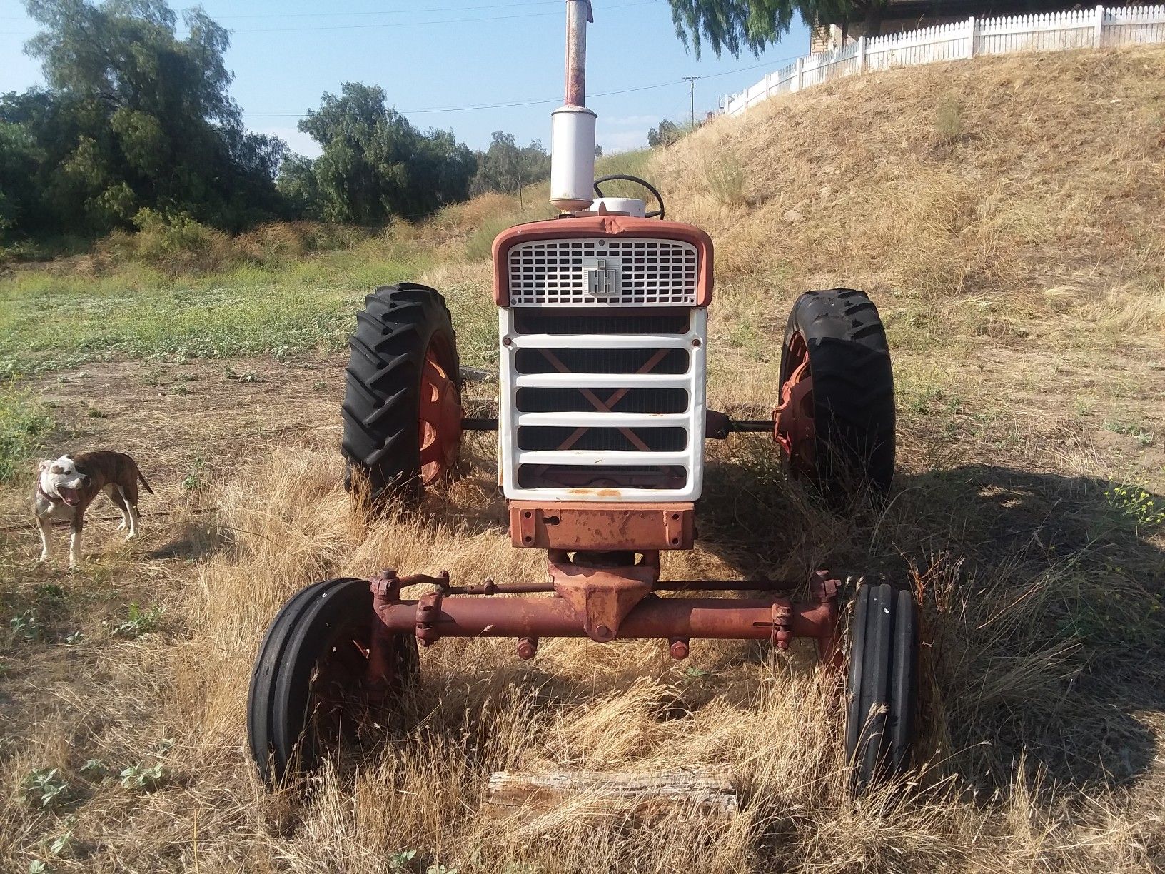 1950's Farmall tractor
