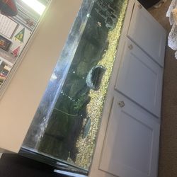 100 Gallon Glass Aquarium Fish Tank