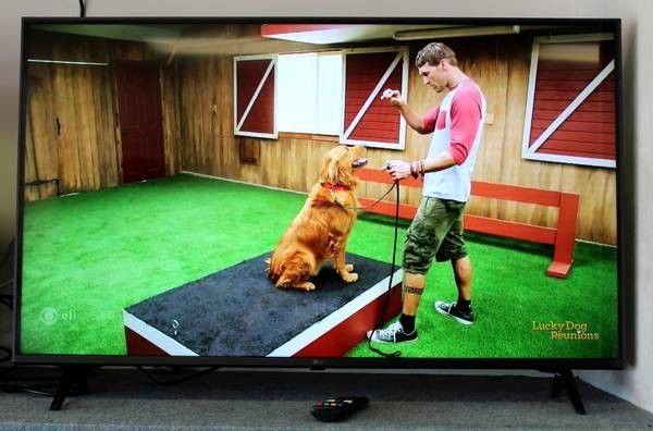LG 43-Inch Smart-TV