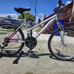 Nice Mountain Bike Ready To Ride 