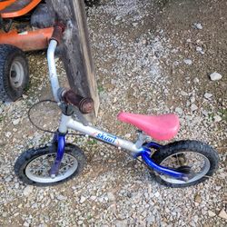 Skuut Toddler Learning Bike