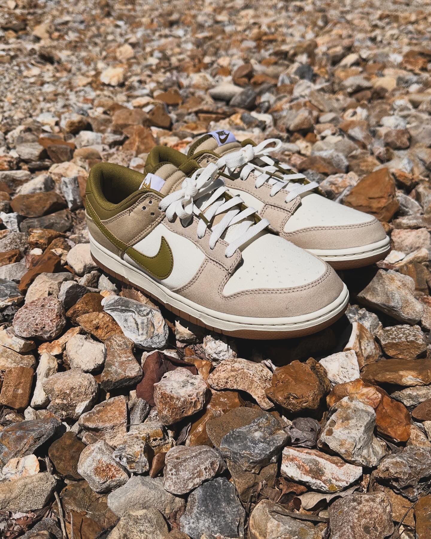 Dunk low ‘Since’72 Pacific Moss’ 🏷️