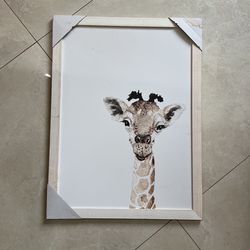 31.6x23.6 Picture Frame