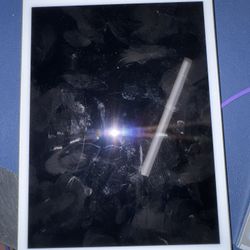 iPad Mini 5th Gen 64gb