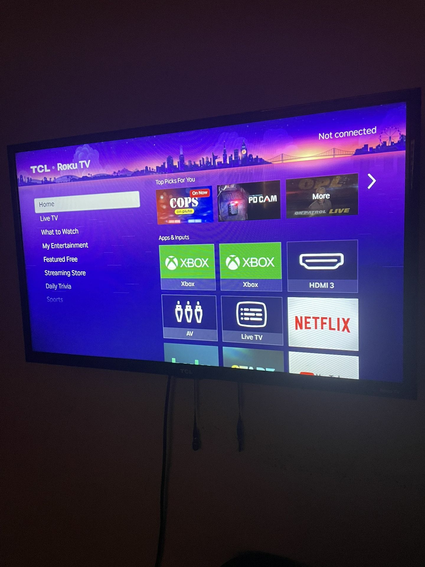 Roku TV