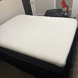 Full Size Mattress 