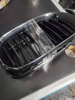 Bmw Kidney Grille New