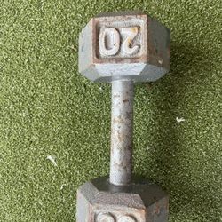 20lb Dumbbell 