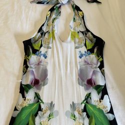 Ted Baker Dress Size 2 Excellent Condition