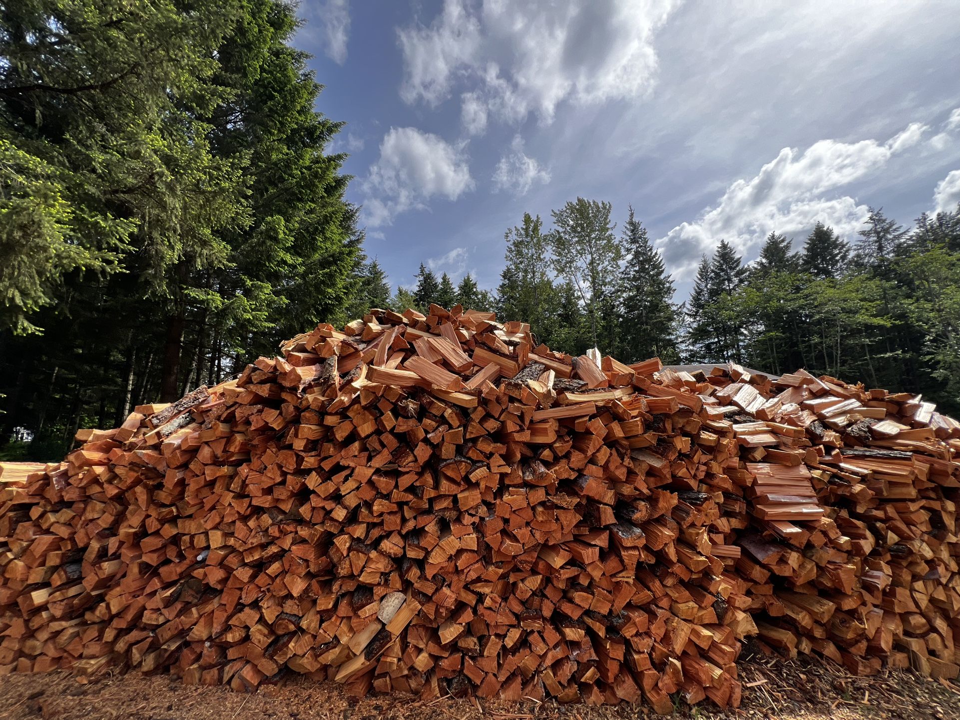 Seasoned Firewood SALE‼️