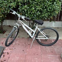 Trek Mountian Bike