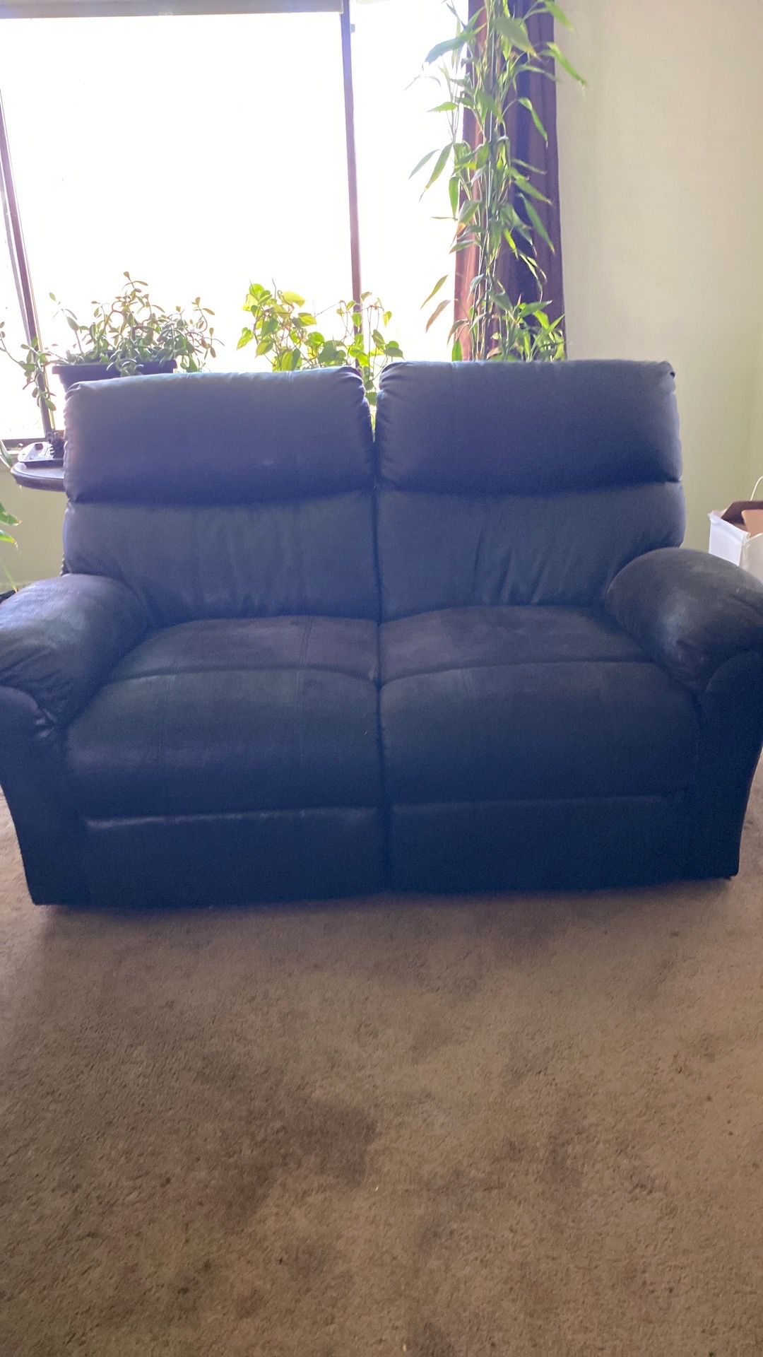 Love seat recliner