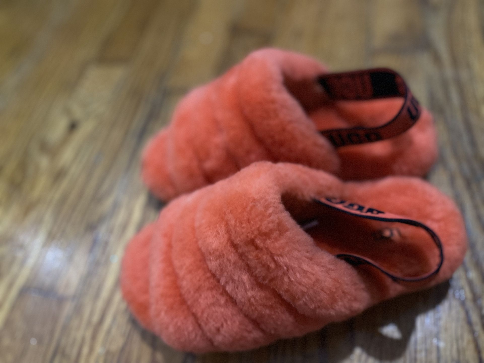 Ugg