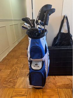 Cobra fly xl 10 clubs rh men’s stiff golf set with bag