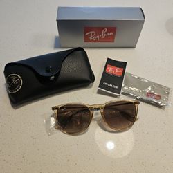 Ray-Ban ERIKA Sunglasses 