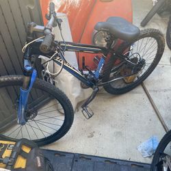 Specialized Mountain Bike 