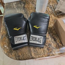 Everlast 16oz Boxing Gloves 