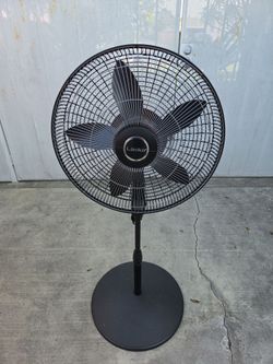 Floor fan