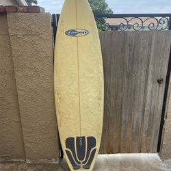 Line Up Short Board