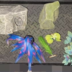 Aquarium Stuff 