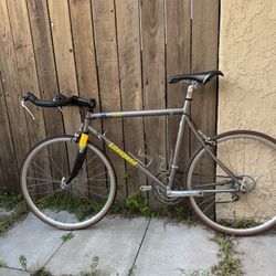 Litespeed Tachyon titanium triathlon / time trial 55cm bicycle