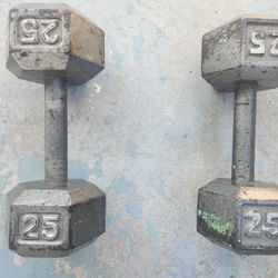 25 Pound Dumbbells 