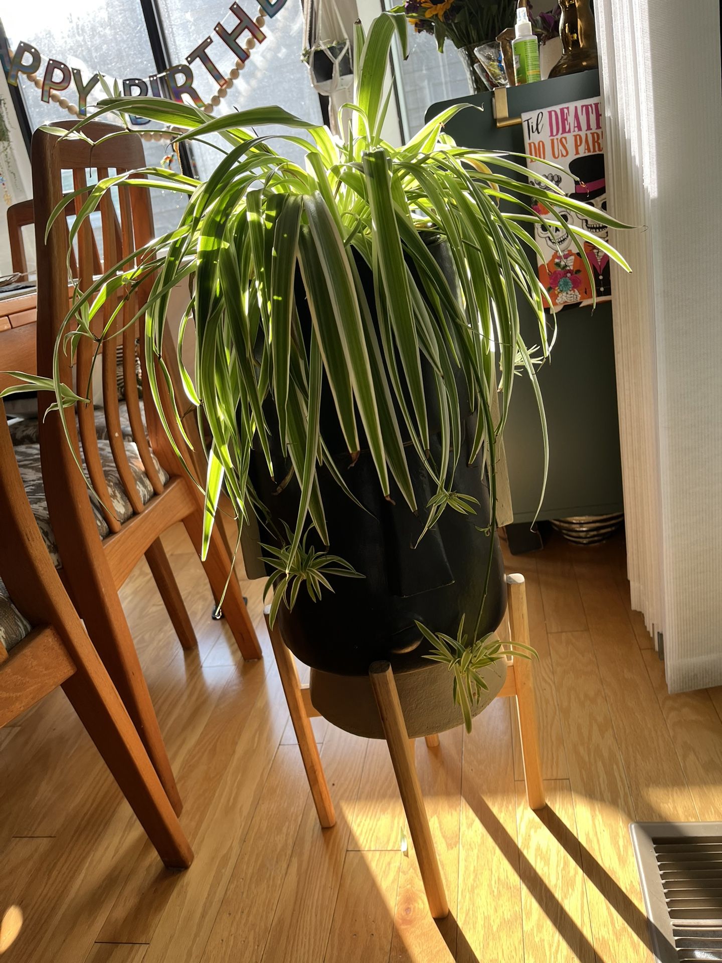 Plant Stand+Pot+Plant