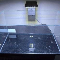 5gal Rimless Aquarium 