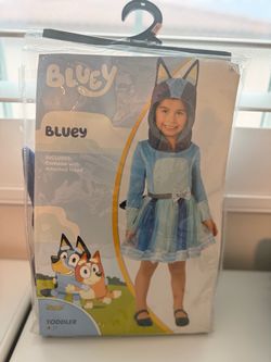 2T BLUEY COSTUME