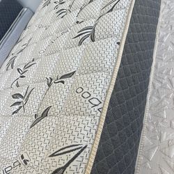 Twin Mattress 