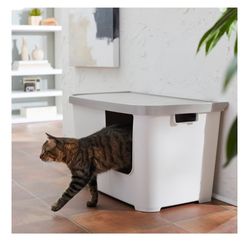 Chewy Frisco Cat Litter Box