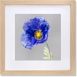 VNVNK 24x24 Frame with 20x20 Mat Wood Color Picture Frame Home Decor-1PCS 0014