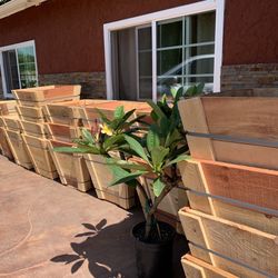 White Cedar Planters