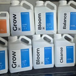 Athena Blended Linup + Stack. 485$ Value. 