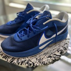 Nike Giannis freak 6’s 