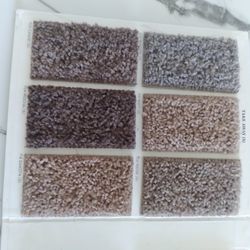 CARPET