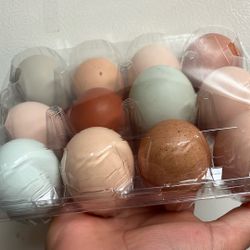 Eggs For Sale 