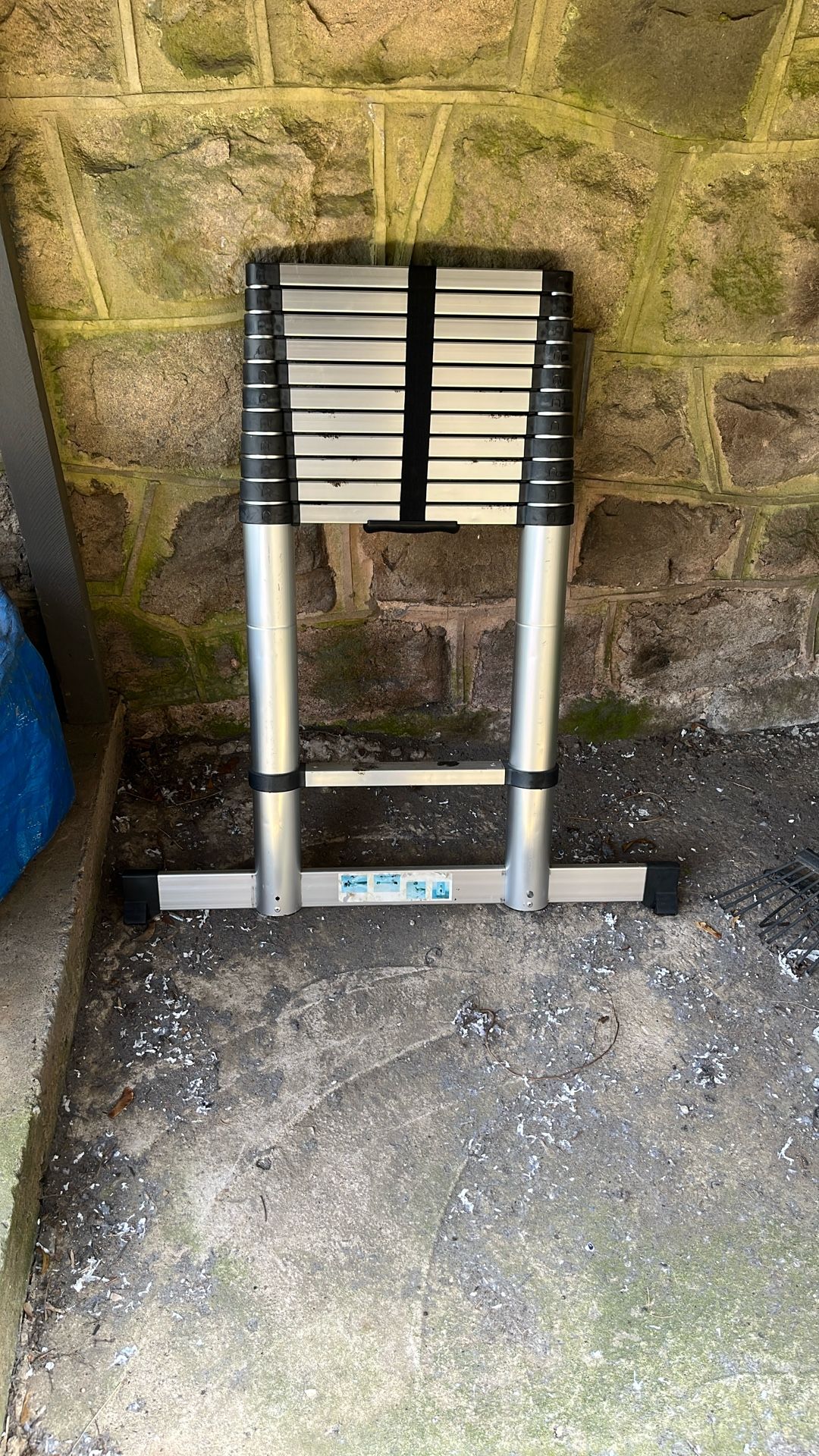 extendable ladder
