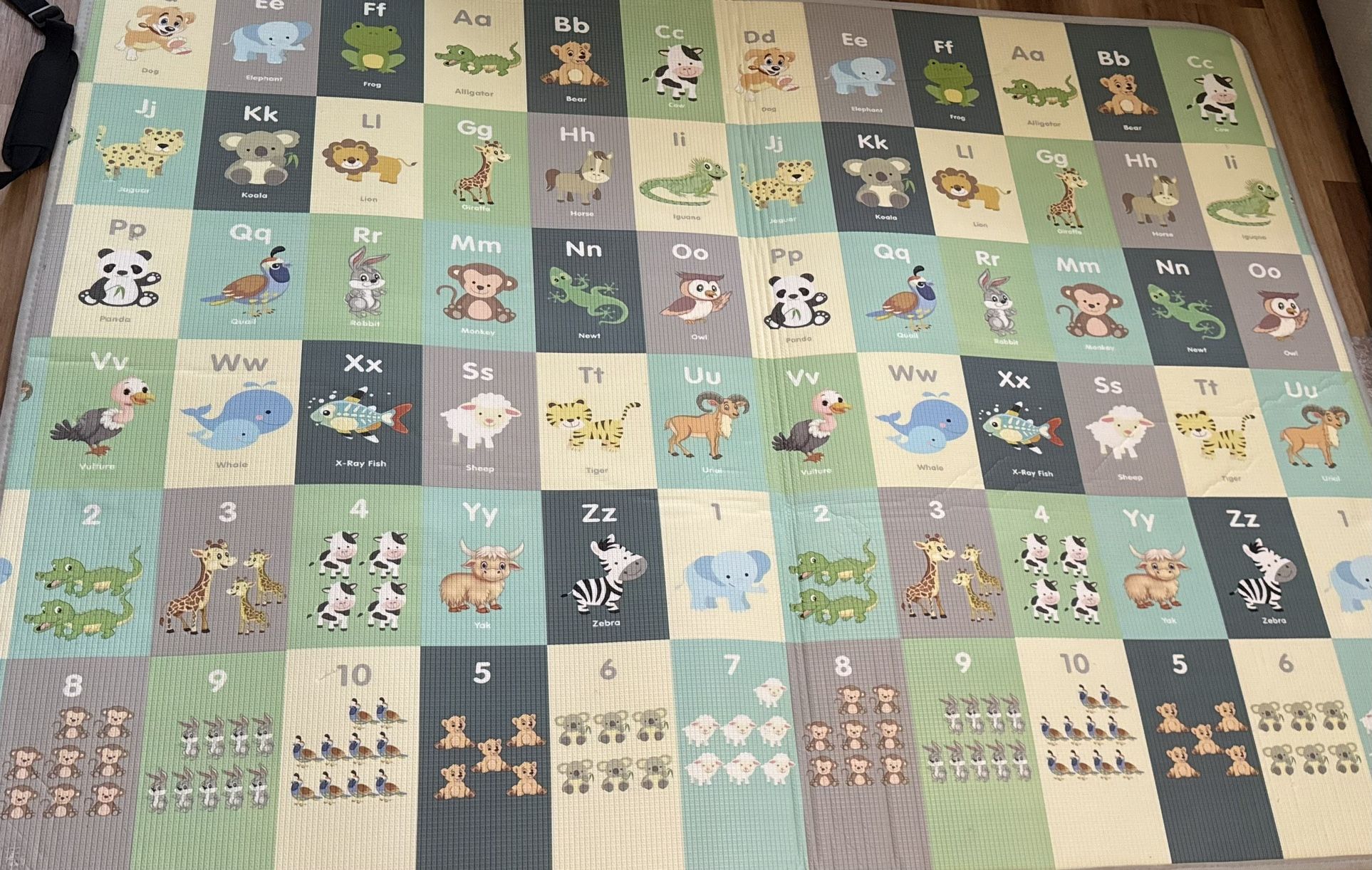 Baby reversible Playmat