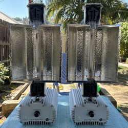 Gavita Pro 1000