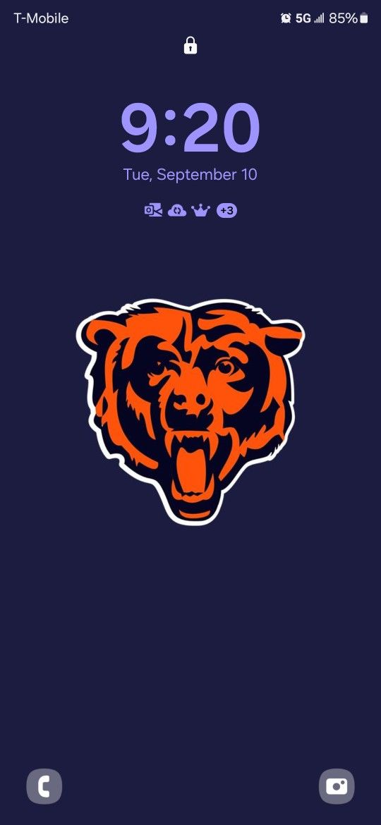 Bears Vs Panters